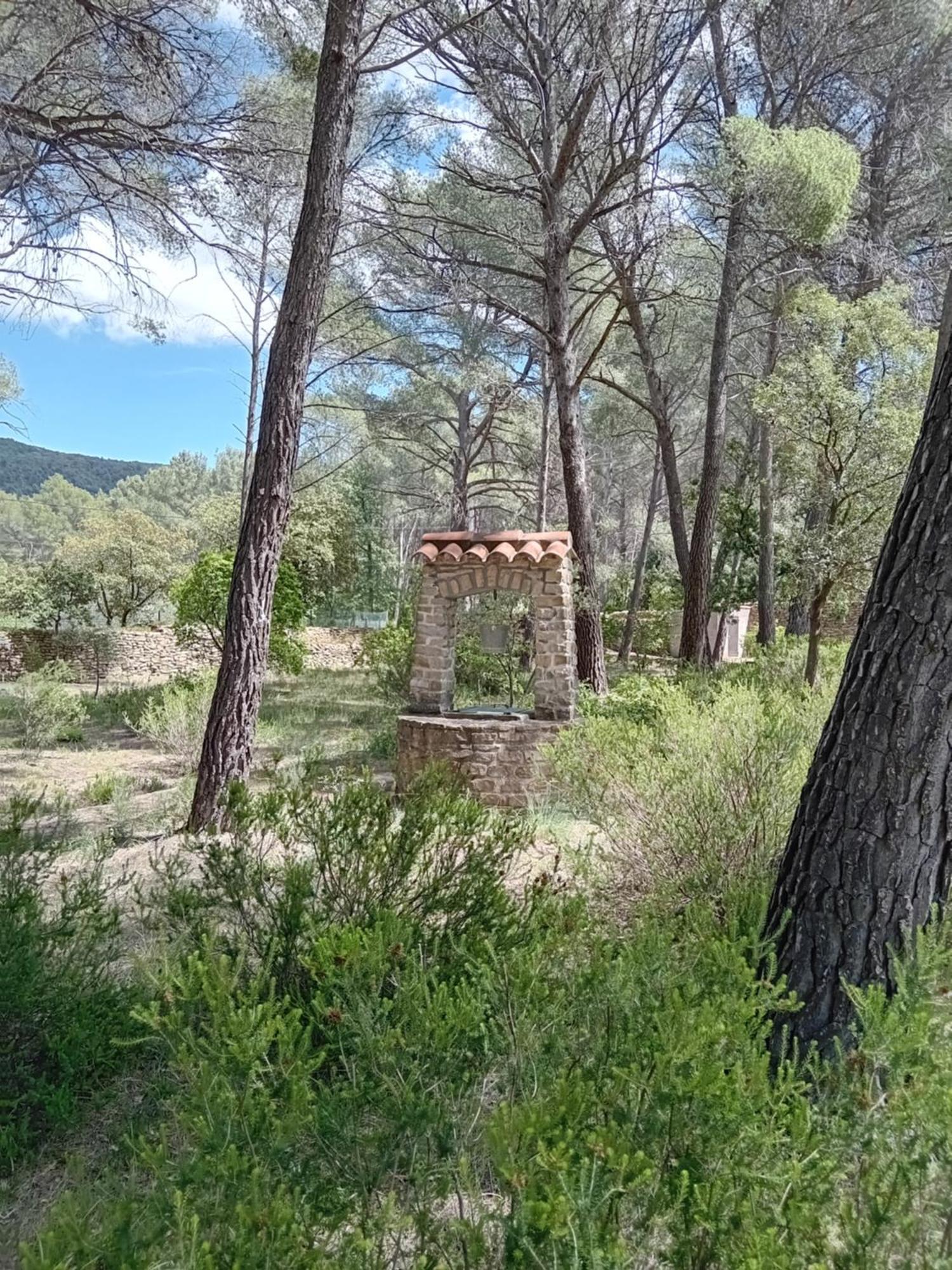 La Maison Du Rouquet Le Beausset Zewnętrze zdjęcie